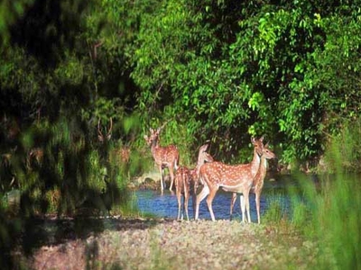 Barda Hills Wildlife Sanctuary